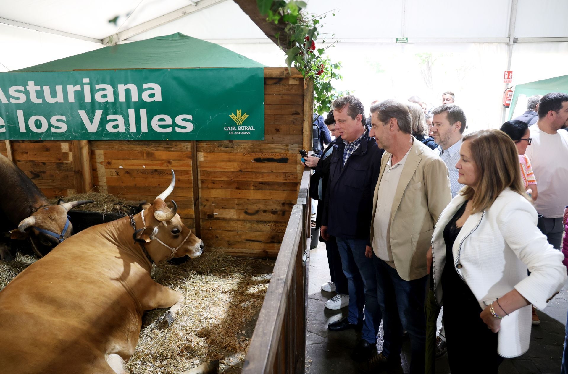 Fotos: Oviedo celebra su Feria de La Ascensión