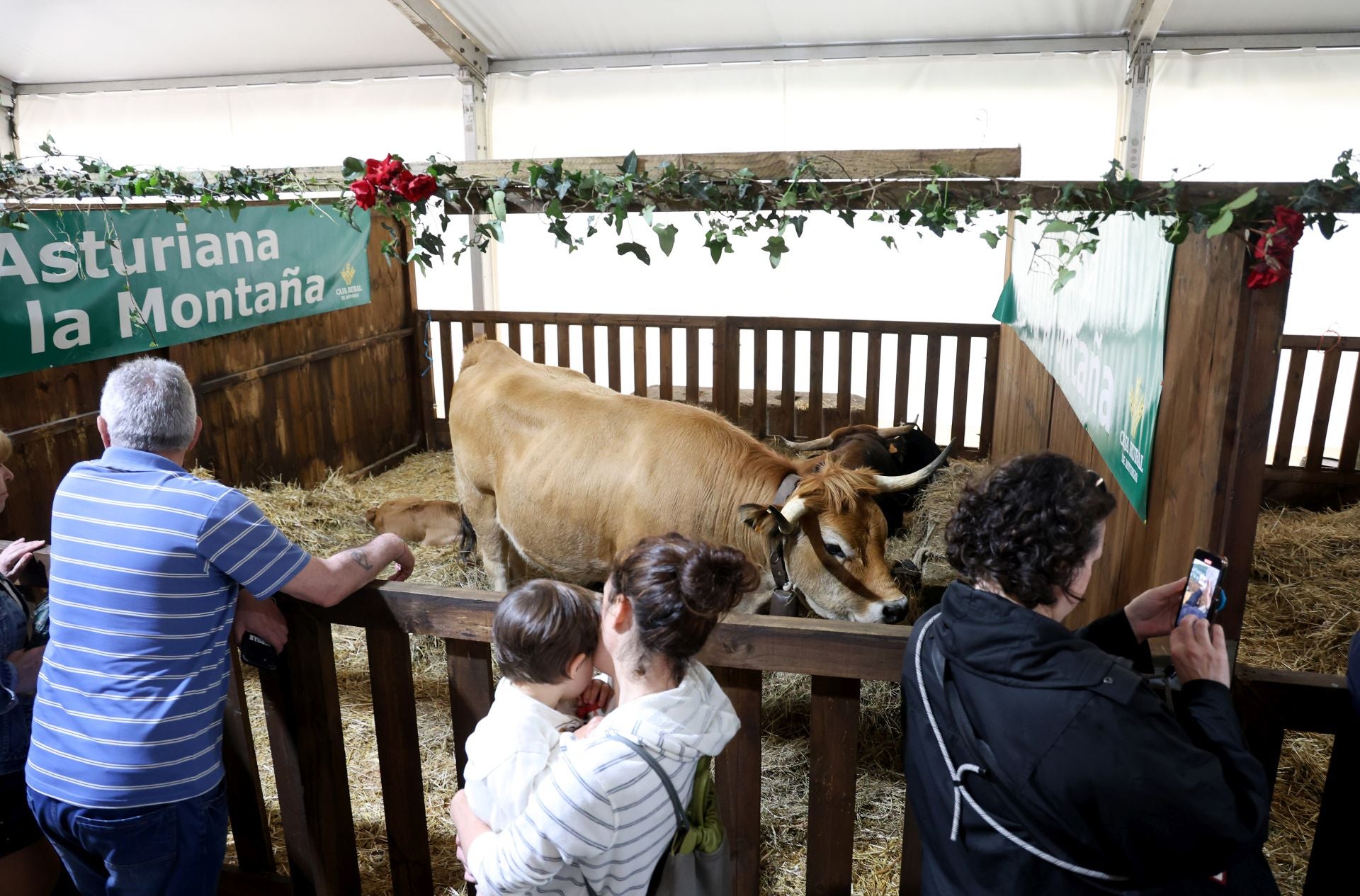 Fotos: Oviedo celebra su Feria de La Ascensión