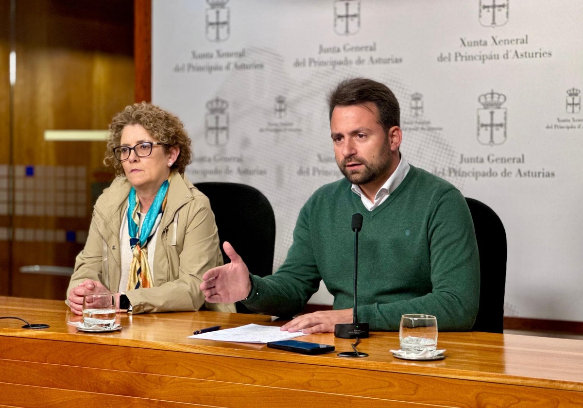 Gloria García y Álvaro Queipo, este lunes, en una rueda de prensa convocada tras la dimisión de la consejera.