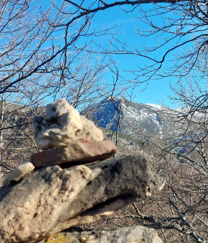Imagen secundaria 2 - Bosque profundo, dos bellas cascadas, rumor de agua y una cumbre de buenas vistas: todo eso acapara la subida al Coalnegro.