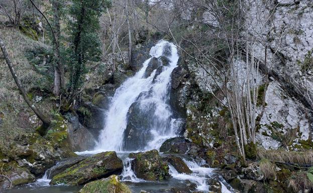 En la ruta que asciende al Coalnegro, en Aller, se pasa por dos bellas cascadas enclavadas en medio de la espesura boscosa.