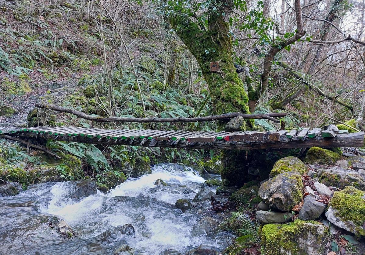 Imagen secundaria 1 - Bosque profundo, dos bellas cascadas, rumor de agua y una cumbre de buenas vistas: todo eso acapara la subida al Coalnegro.