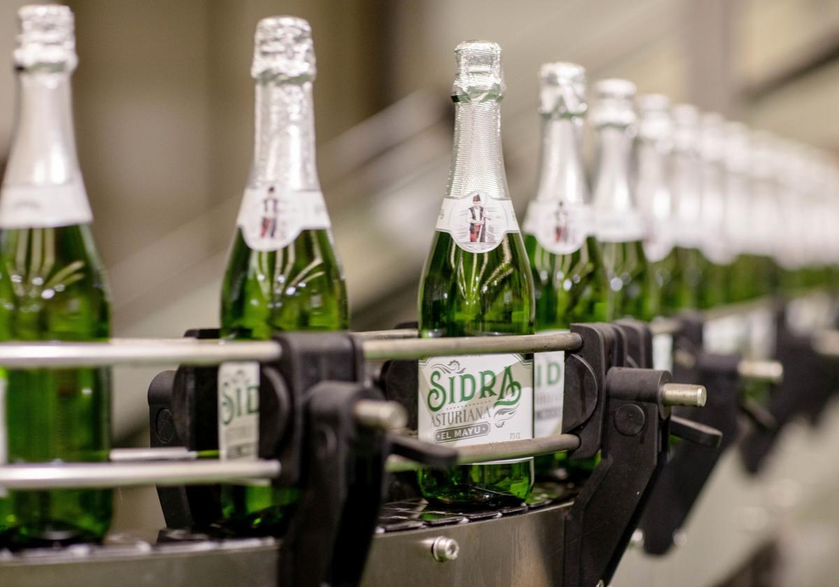 La sidra El Mayu, de Mayador, se situó en una cifra de 1,9 millones de botellas, un 4% más que en 2023
