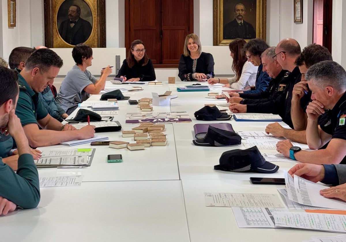 Reunión de la comisión mixta de violencia de género de Siero y Noreña, en La Pola.