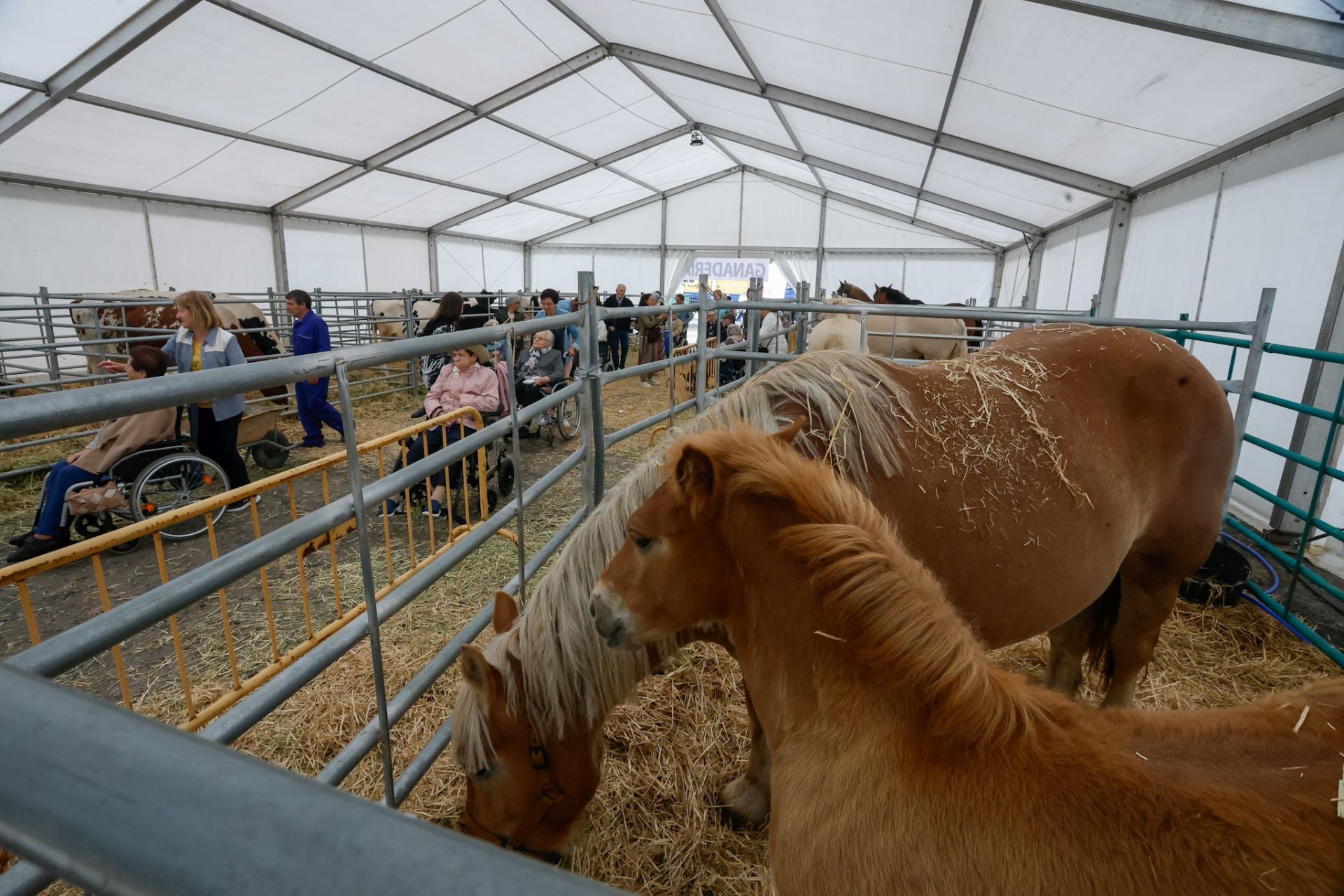Vegadeo levanta el telón de su Feria de Muestras