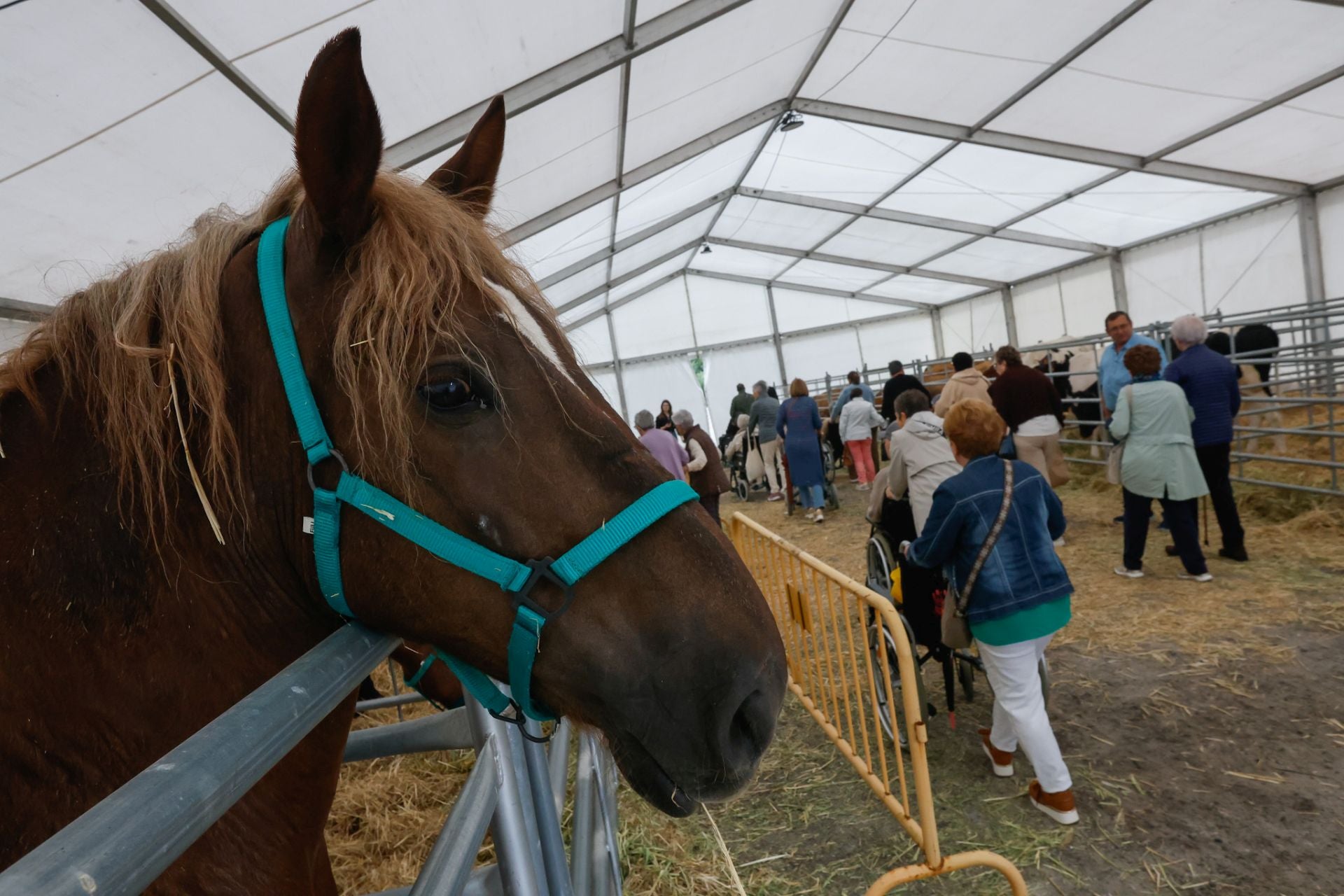 Vegadeo levanta el telón de su Feria de Muestras