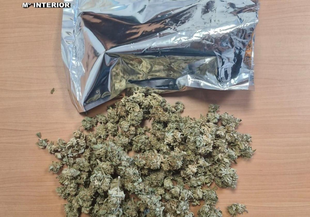 Marihuana incautada en Navia.