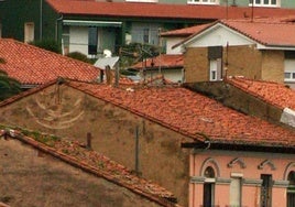 Gaviotas en un tejado de Candás.
