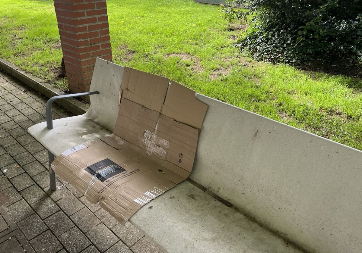 «¡De hormigón, no!»: guerra por los bancos del parque Alfonso X de Pola de Siero