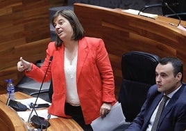 Gimena Llamedo, esta mañana, en sesión plenaria.