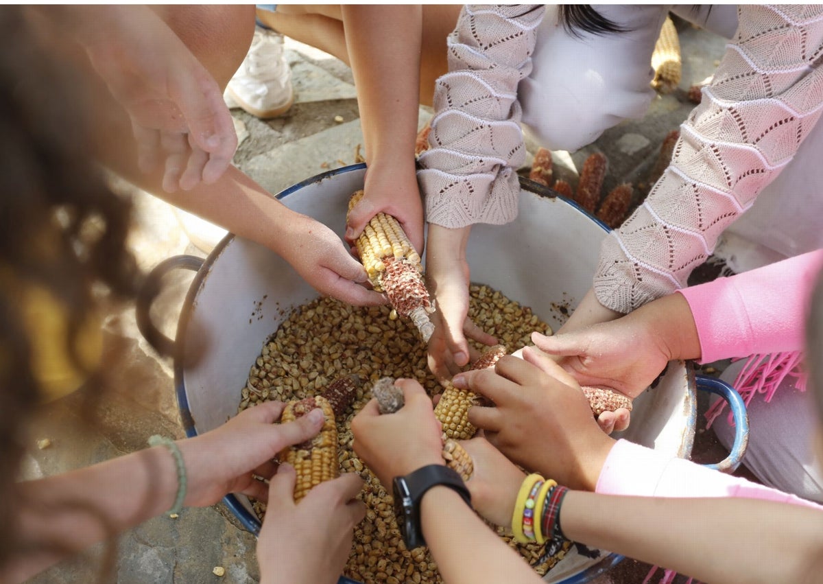 Imagen secundaria 1 - Alumnado de distintos colegios participa en actividades tradicionales.