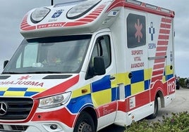 Localizan a un hombre desaparecido en Aller tras sufrir una caída en un zarzal