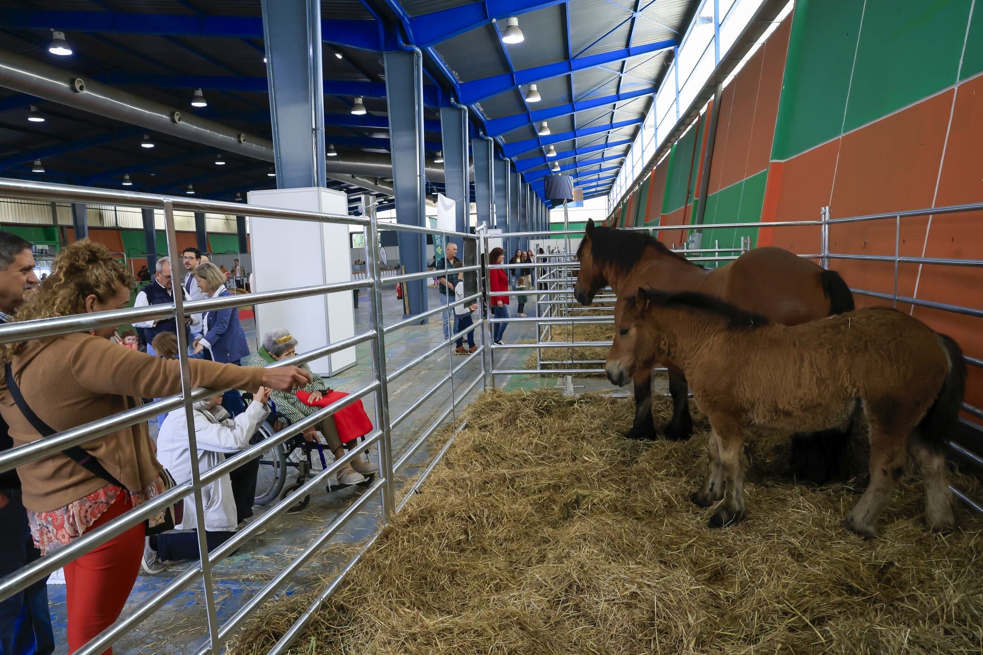 Fotos: Feria de San Antonio en Gijón
