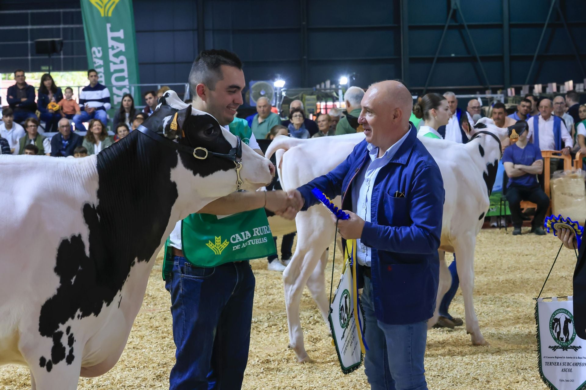 Fotos: Feria de San Antonio en Gijón