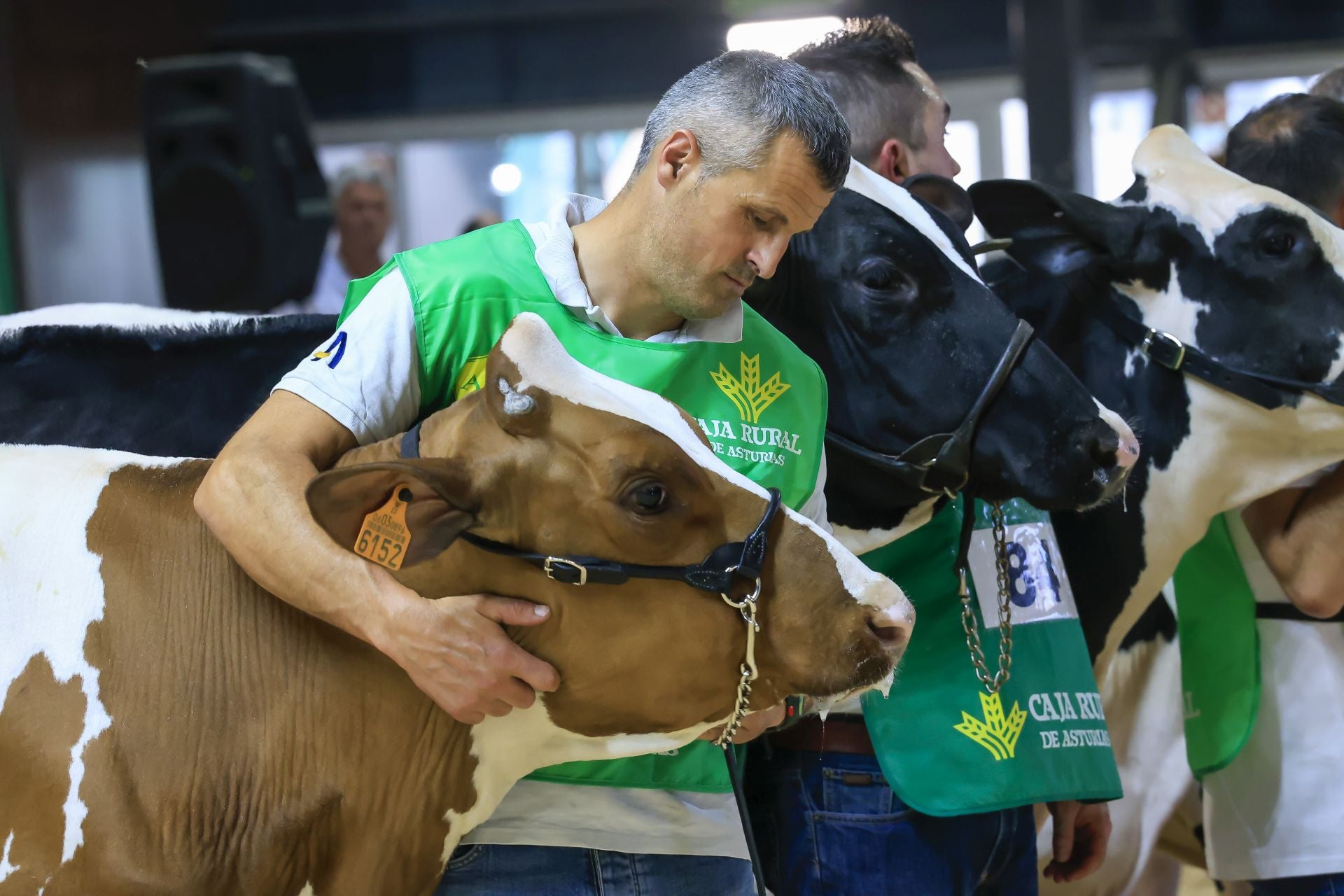 Fotos: Feria de San Antonio en Gijón