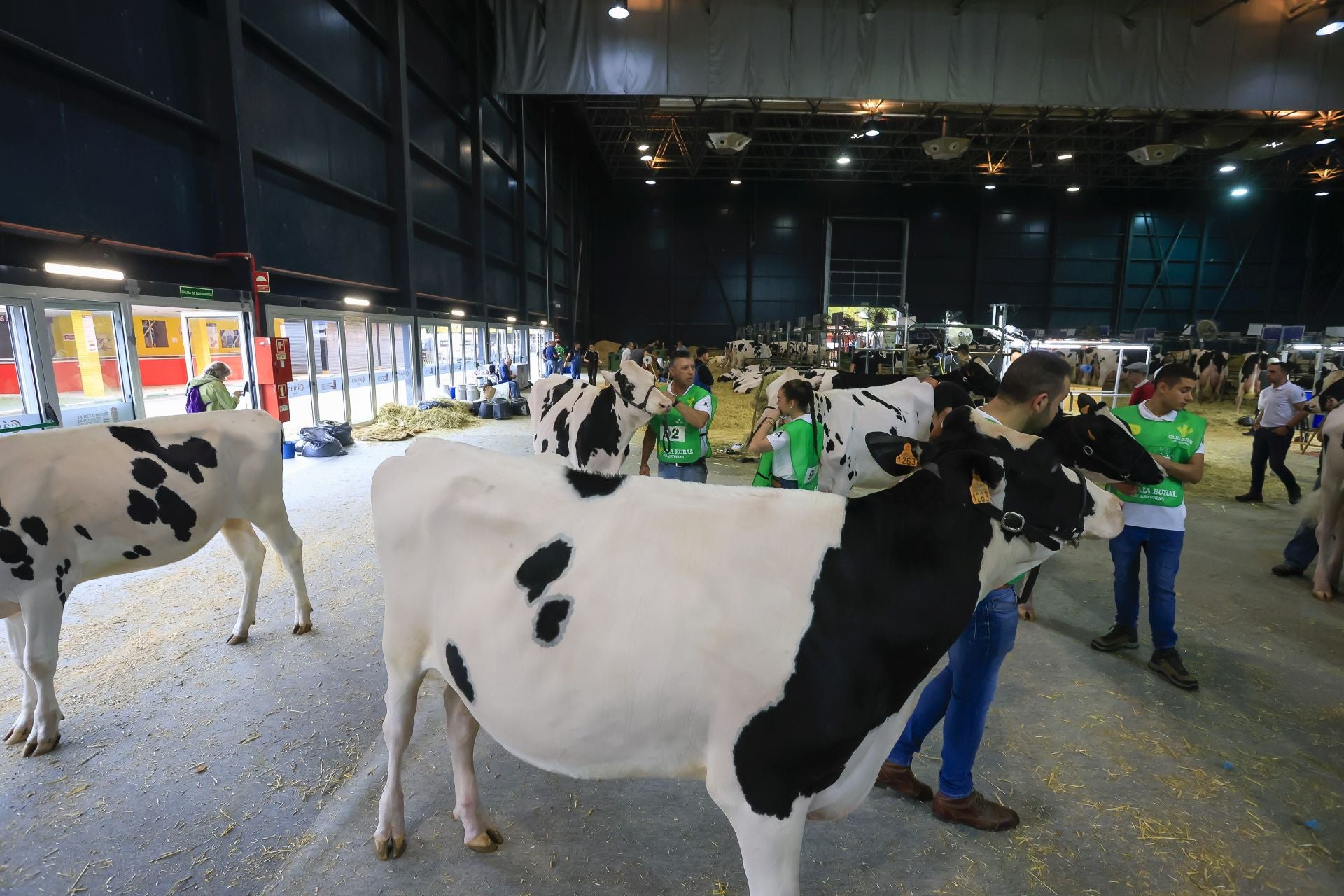 Fotos: Feria de San Antonio en Gijón