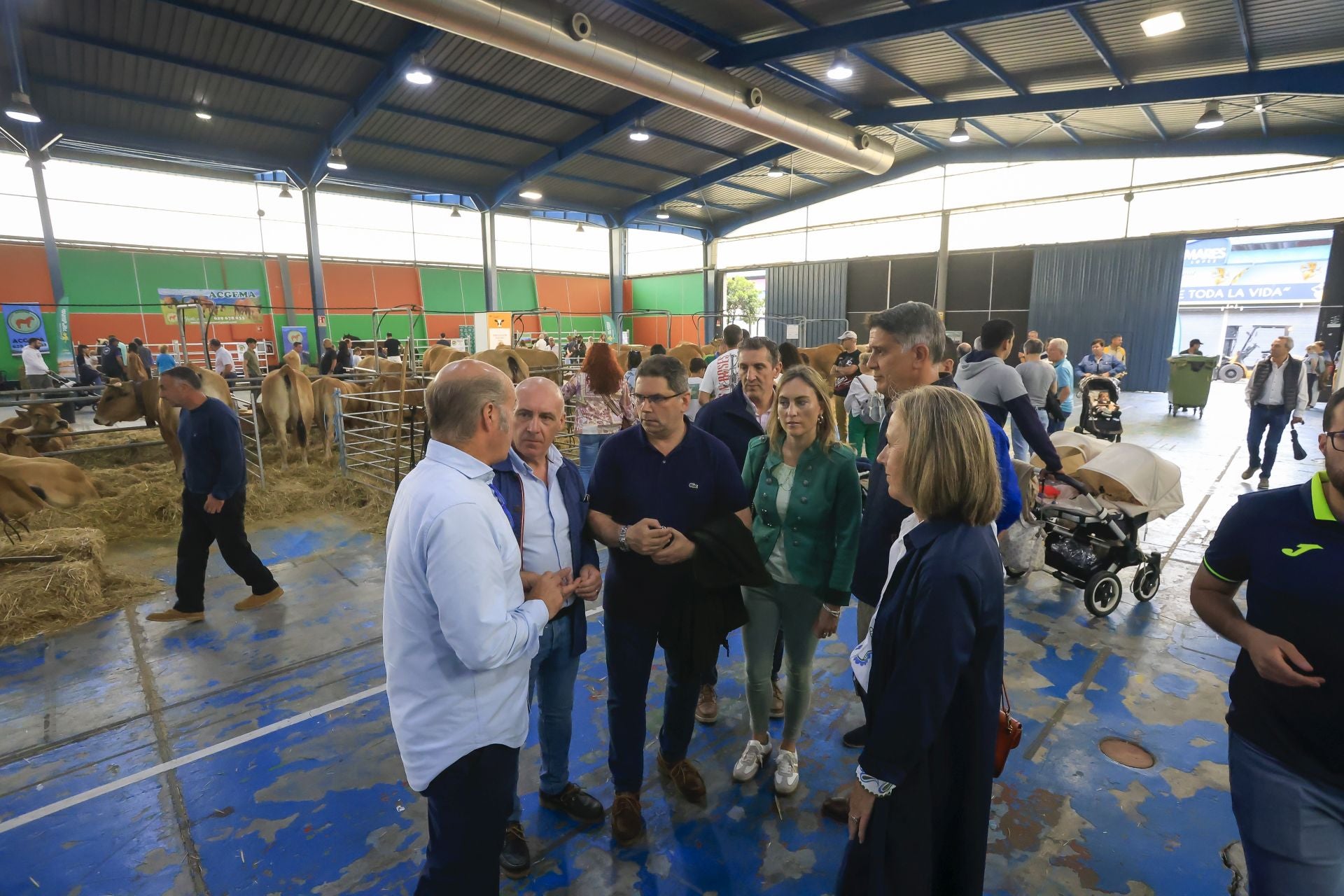 Fotos: Feria de San Antonio en Gijón