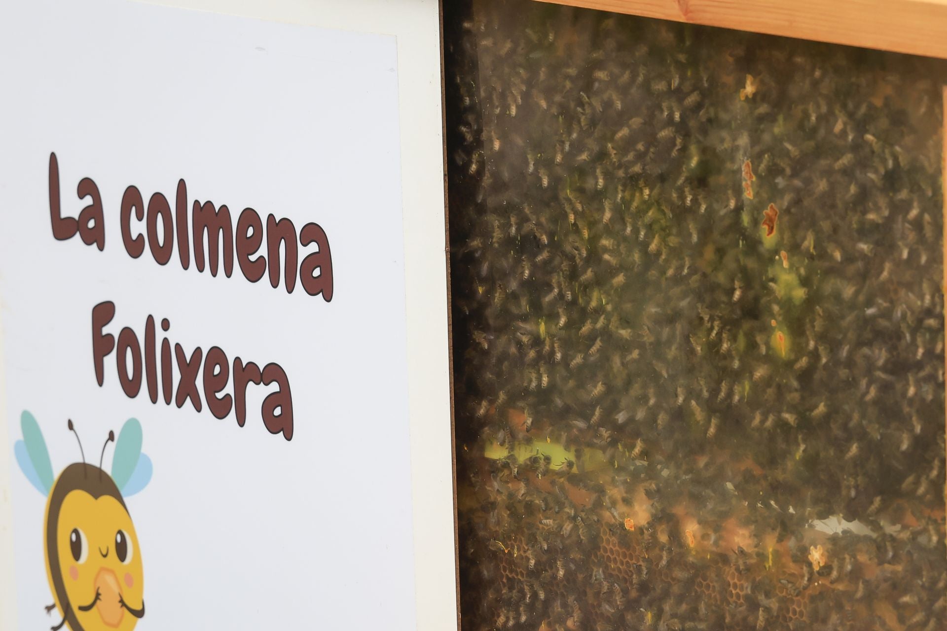 Fotos: Feria de San Antonio en Gijón
