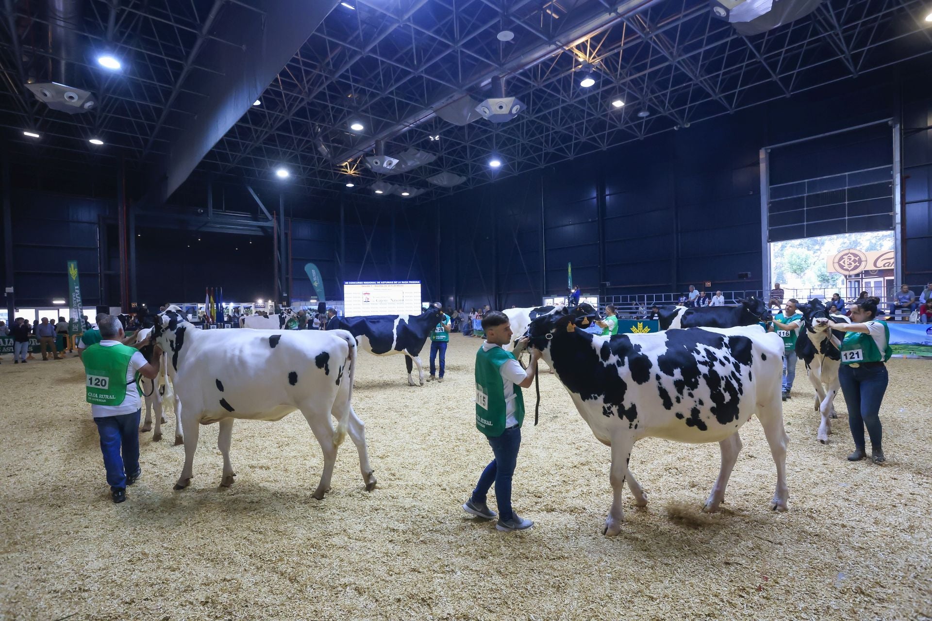 Fotos: Feria de San Antonio en Gijón