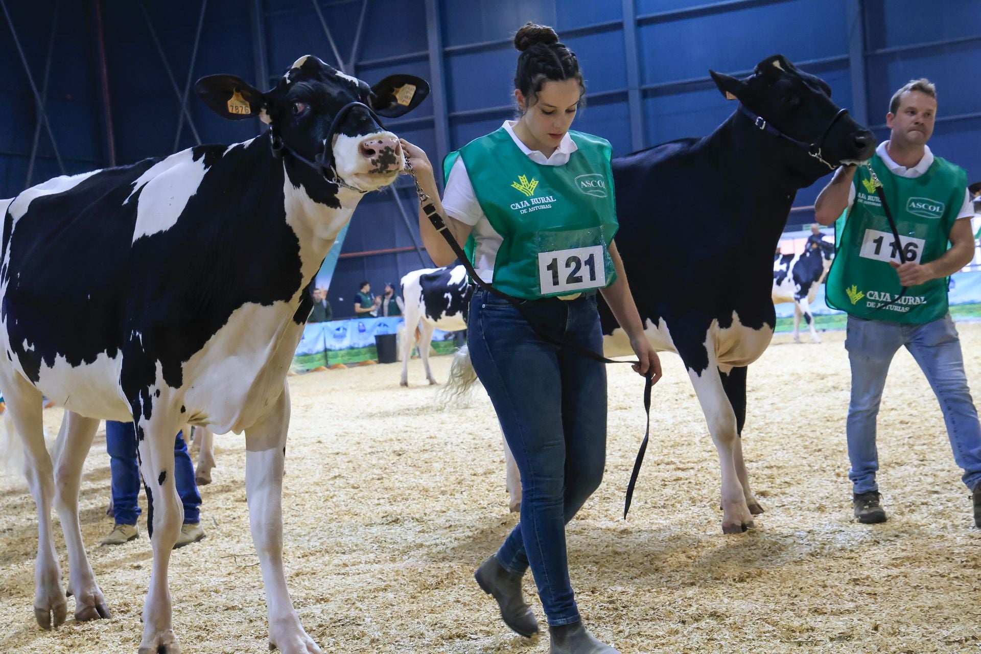 Fotos: Feria de San Antonio en Gijón
