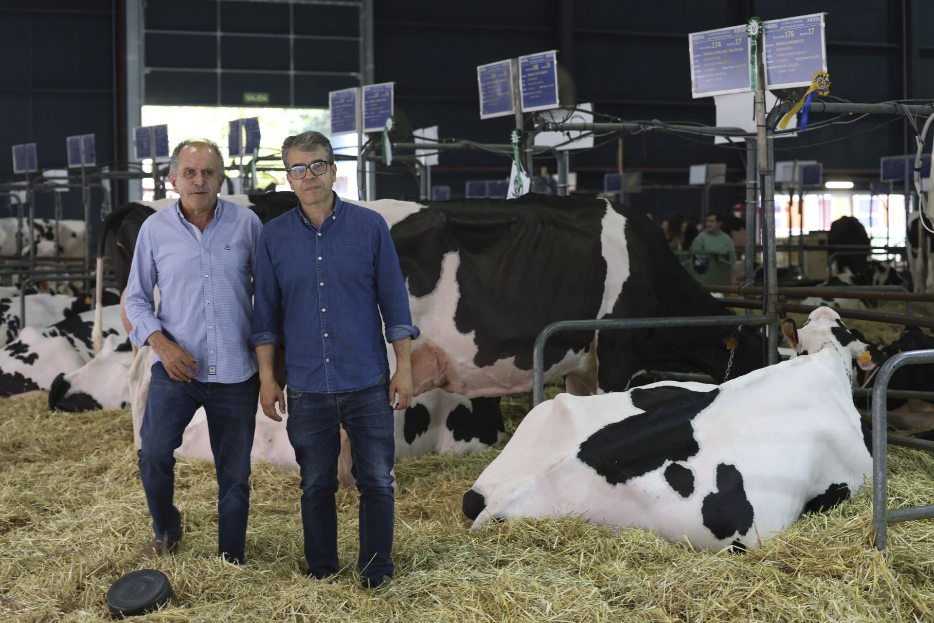 Concurso de manejadores en la Feria de San Antonio en Gijón, en imágenes