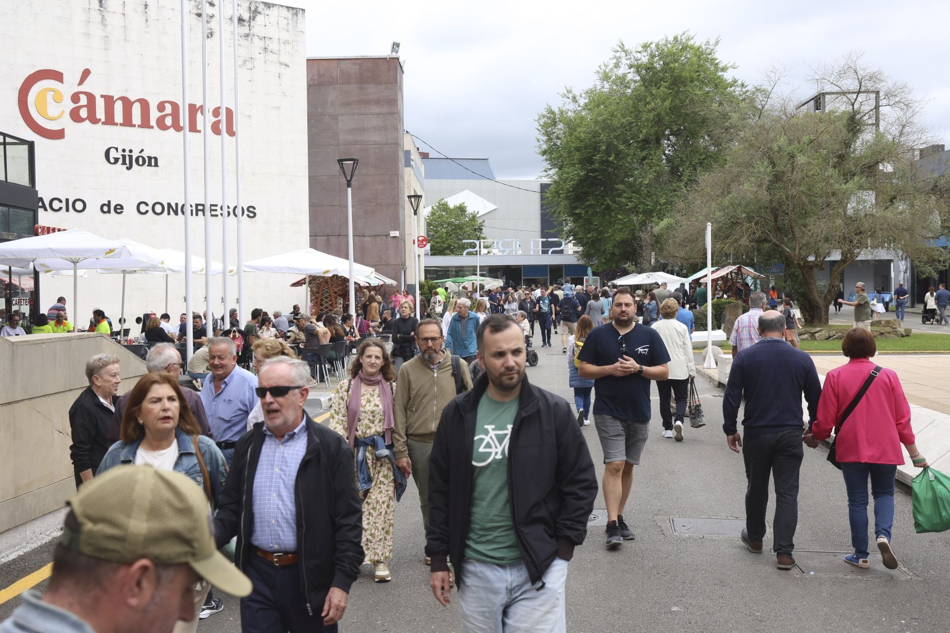 Concurso de manejadores en la Feria de San Antonio en Gijón, en imágenes