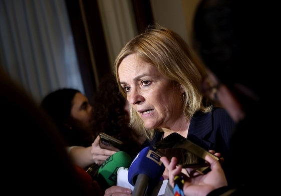 La presidenta de la comisión de investigación, Covadonga Tomé.