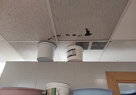 Goteras en un techo y calderos situados para evitar que el agua cause más daños.