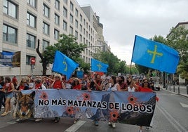 Conservacionistas asturianos en la marcha apoyada por 169 colectivos hoy en Madrid.
