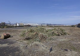 Terrenos de Naval Gijón, pendientes de su adecuación provisional y la redacción del plan especial para su ordenación urbanística.