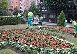 Los operarios de Parques y Jardines reponiendo las flores de la plaza de América tras las celebraciones del ascenso del Real Oviedo a Primera División.