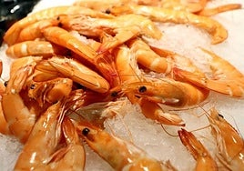 Foto de archivo de langostinos.