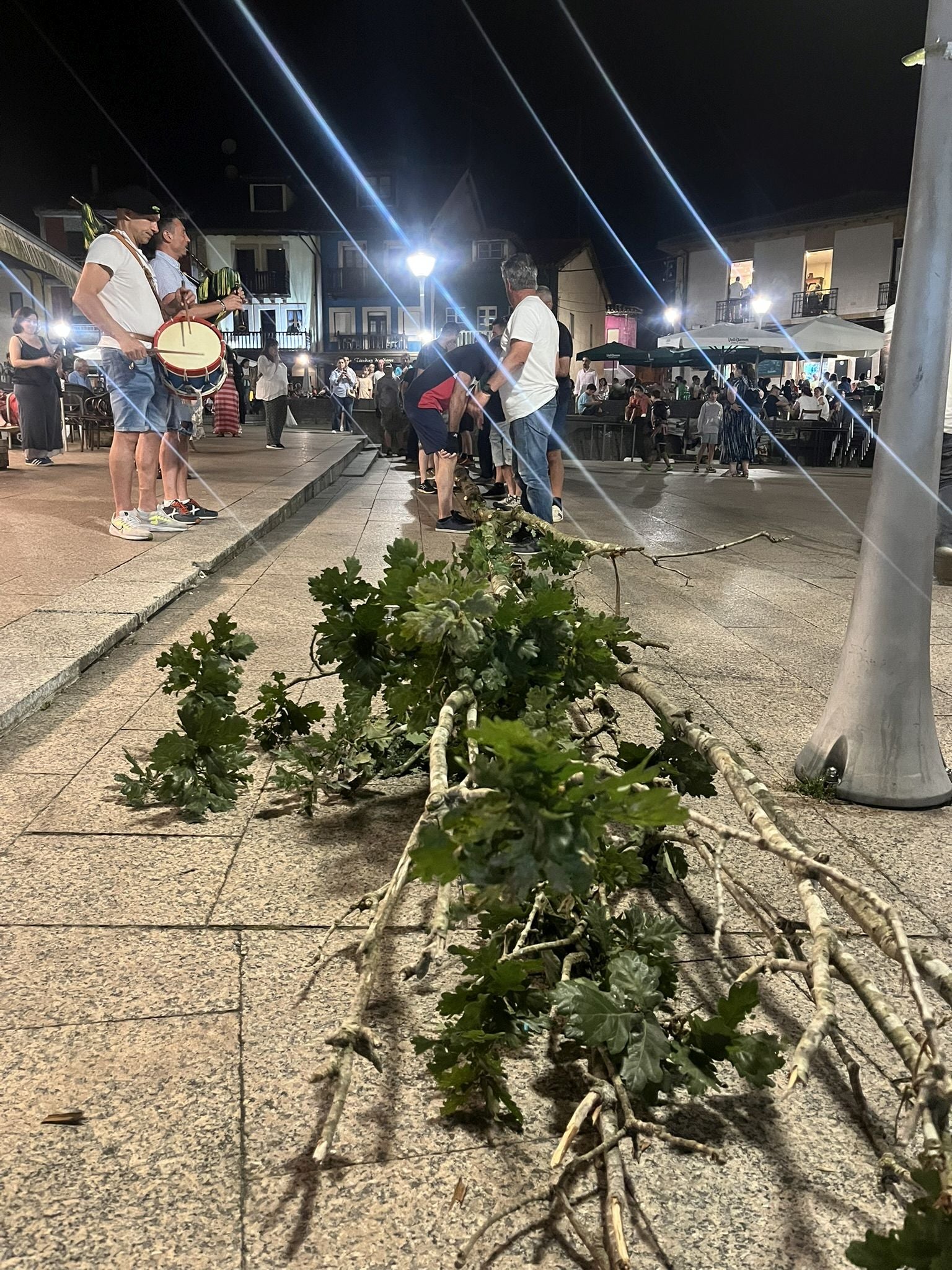 Así fue la plantá del roble por los casados en la plaza de Les Campes de Pola de Siero