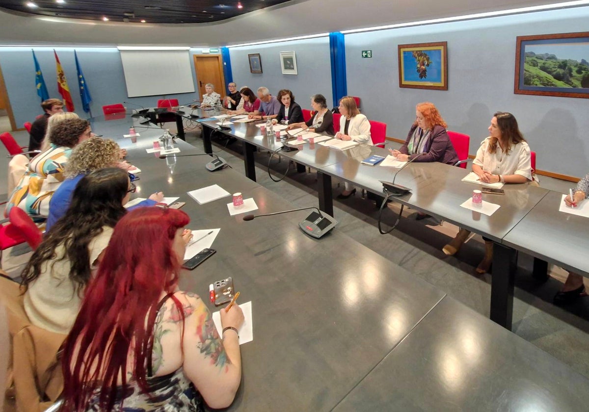 La vicepresidenta encabezó la reunión extraordinaria del Consejo Asturiano de la Mujer.