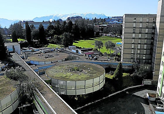 La conservación de los Hongos en el antiguo HUCA, a la espera de un estudio técnico.