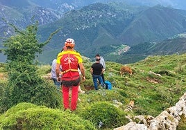 La operación, coordinada por el Grupo de Rescate (GR) del Servicio de Emergencias del Principado de Asturias (SEPA), contó con la colaboración de ganaderos de la zona