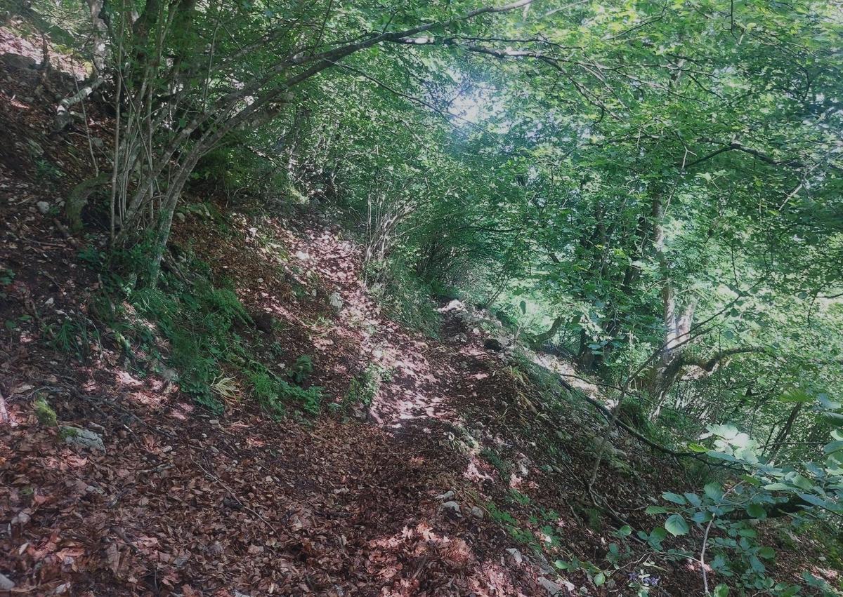 Imagen secundaria 1 - Paso Cueña Covariega, un paso estrecho entre peñas por el que se accede a la parte alta de la sierra/ Sendero por el bosque de la Matona, recoveco de hayas/ cumbre del pico Santiago con vistas a la laguna Llazarandin.