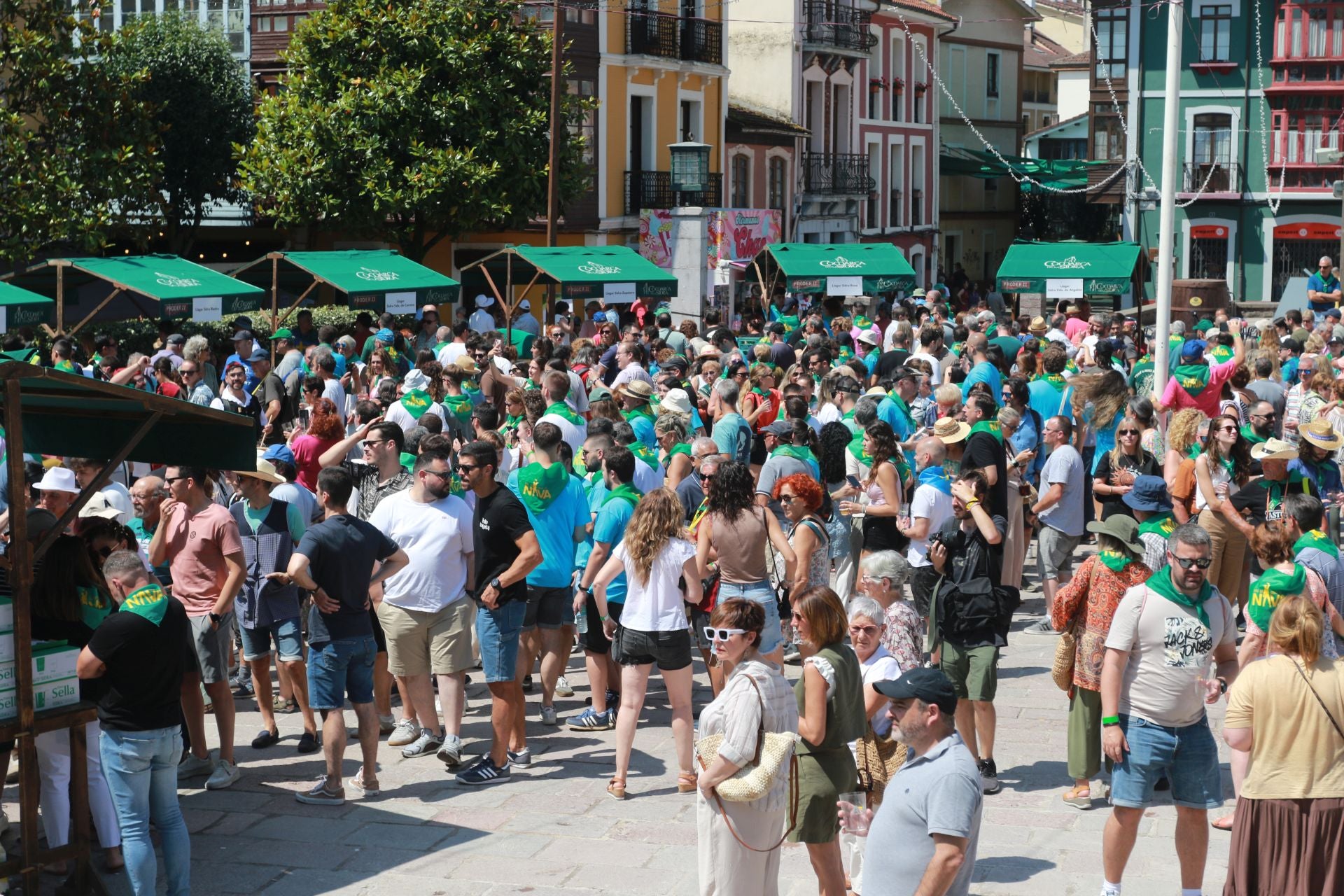 Sidra asgaya en el Festival de Nava: las mejores fotos