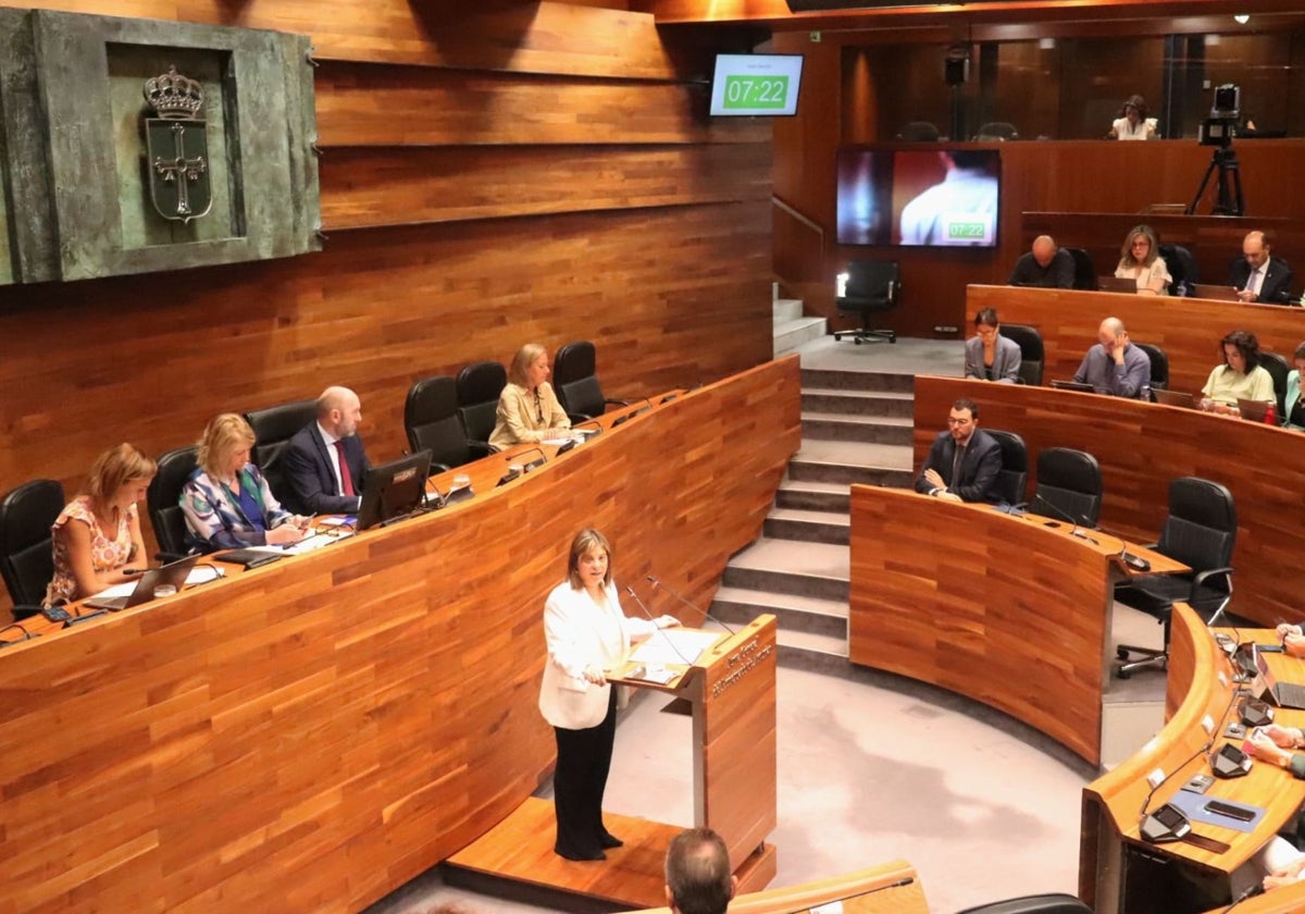 Gimena Llamedo defiende la Ley Simplifica en la sesión de hoy.