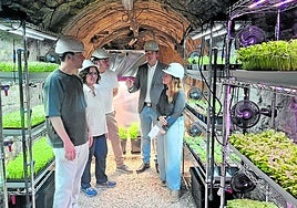 El consejero de Ciencia, Industria y Empleo, Borja Sánchez, con el alcalde de Laviana, Julio García; Mamen Oliván, directora del Serida, y los confundadores de Cantábrica Agricultura Urbana, Javier Espina y Tesa Portillo, en el huerto subterráneo del pozo Carrio
