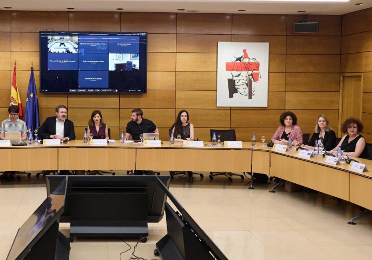 Marta del Arco, primera por la izquierda, en la reunión que presidió la ministra de Juventud y Infancia, Sira Rego.
