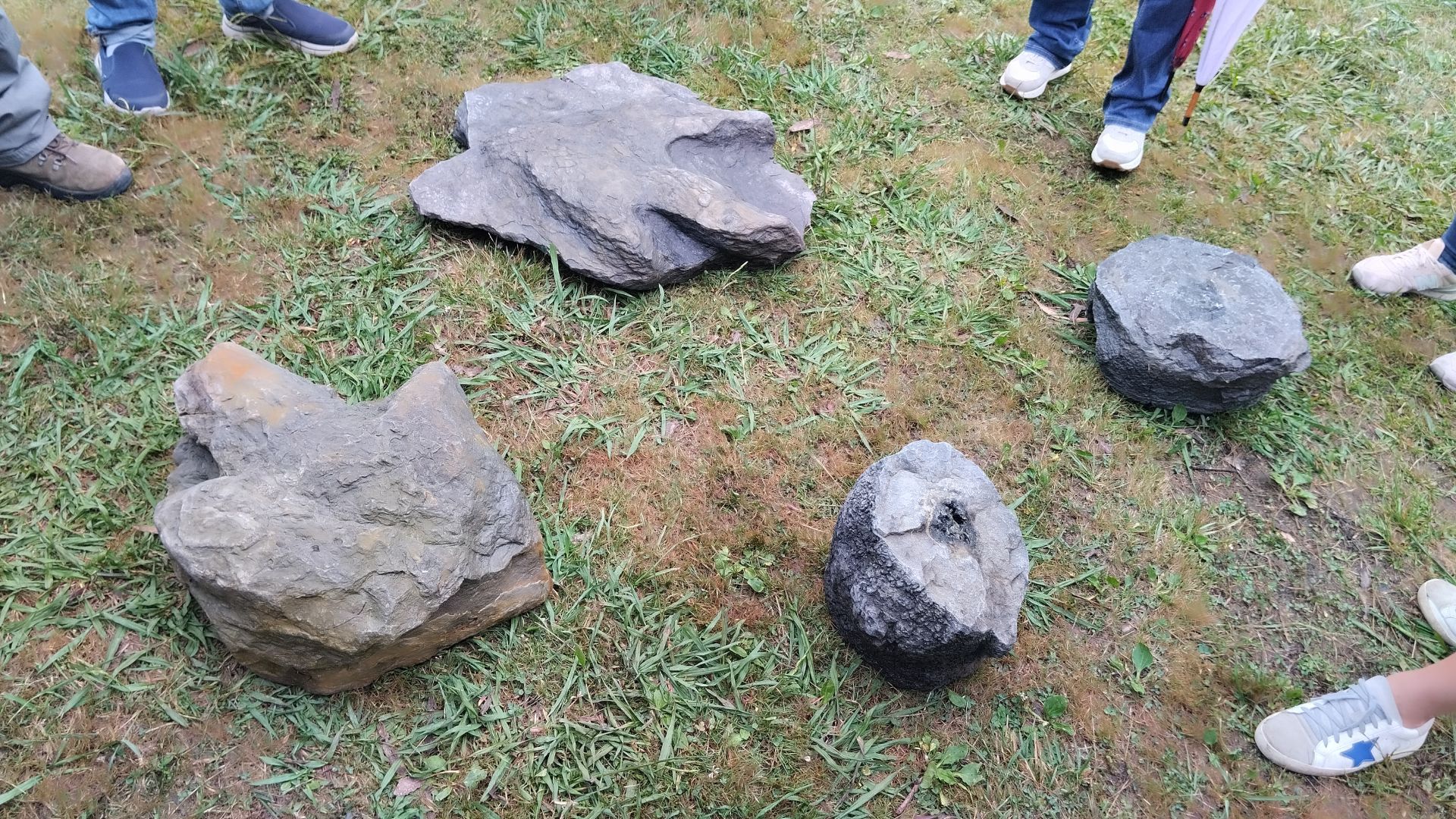 Hallazgo en Asturias: descubren una huella gigante de dinosaurio terópodo en Villaviciosa