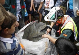 Hallazgo en Asturias: descubren una huella gigante de dinosaurio terópodo en Villaviciosa