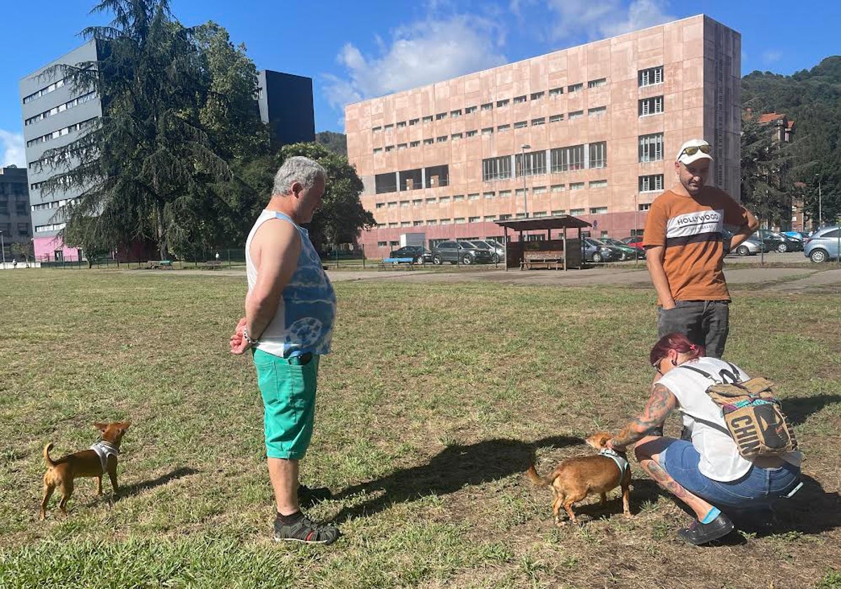 Algunos de los voluntarios en el parque canino del Campus, en Mieres