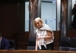 Covadonga Tomé interviene desde su escaño en un pleno en la Junta General.