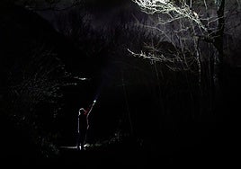 Una actividad para todo tipo de público que consiste en una ruta suave por el bosque de noche. La experiencia, guiada por biólogos, no va sólo de caminar: también consiste en sentir, descubrir y asombrarse con las criaturas que pueblan la oscuridad.