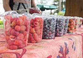Villaviciosa celebra el Festival del Arándano y los Frutos Rojos.