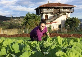 Una mujer agricultora en su plantación de berzas en Corvera.