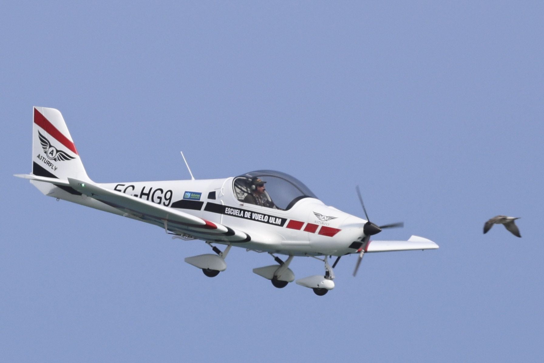 Las imágenes más espectaculares del Festival Aéreo de Gijón 2025