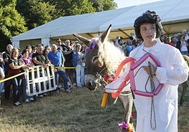 Desfile Folclórico de Burros en Pañeda